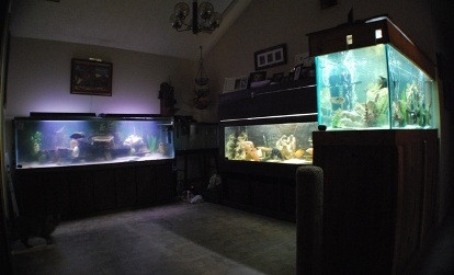 Fishroom