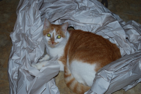 Xander playing in paper